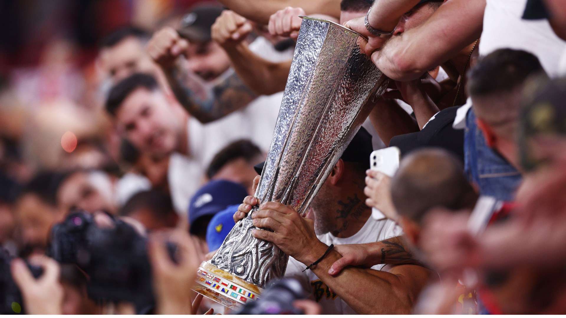 这进一步证 这进一步证