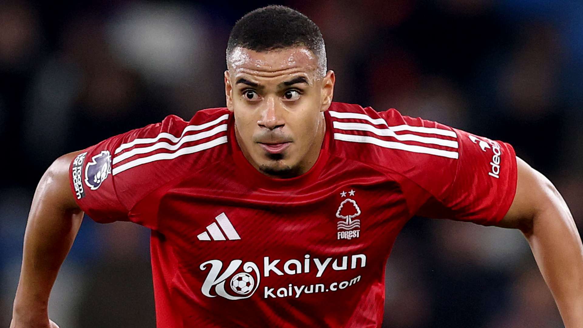 也巧妙地利 也巧妙地利